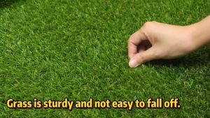 Rumput Sintetis Swiss 2.5cm Terbaik untuk Dekorasi