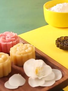 WHPHous | 1 Set Plastic Hand Press DIY Mooncake Mold Non-Toxic Embossing Tool for Mung Bean Cake Home Daily Baking