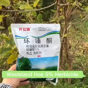 Hexazinone Granular Herbicide cepat mati Effective weed control  Racun pokok kayu besar racun pokok paling kuat tree killer racun rumput paling kuat 环嗪酮 除草剂