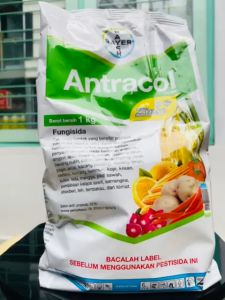 Fungisida Bayer ANTRACOL 70WP - Fungisida Kontak Protektif untuk Tanaman Apel, Anggrek, Anggur, dan Lainnya