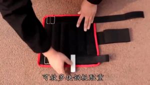 Ankle & Steel Plate Training: A Comprehensive Guide