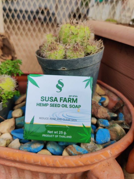สบู่กัญชง Hemp seed oil soap ขนาด 25 g ออแกนิค ของแท้100 Lazada.co.th
