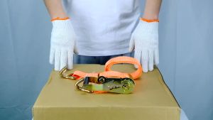 COD PROMO Rachet Tie Down 1 inch x 5m / Tali pengikat barang 1 inci x 5m / Lashing Belt / Tali Ikat Motor truk