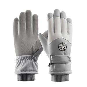 Insulated Waterproof Touchscreen Gloves