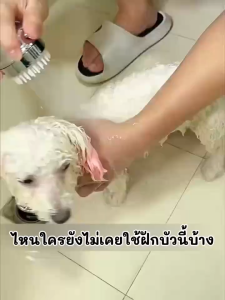 ฝักบัวอาบน้ำสำหรับสัตว์เลี้ยง มีแปรงซิลิโคนในตัว อุปกรณ์เสริมสหรับน้องหมา