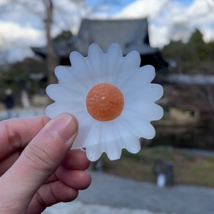【SG】Selenite Daisy Flower Crystal with Stand