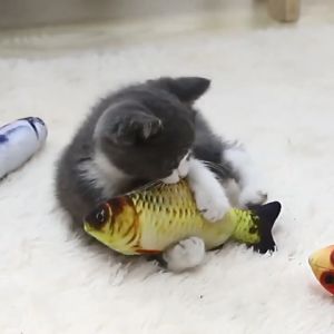 Pet Cat Catnip Fish Toy For Cat Chasers Funny Playing Training Interactive Toys For Kitten Bite Chew