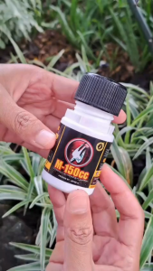 M150CC Pil isi 25pcs Vitamin Burung Dara atau Merpati meningkatkan stamina kecepatan daya tahan