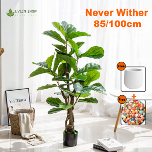 【Ready Stock】Pohon Buatan/Pokok /Artificial Plant/Artificial Ficus lyrata /Pokok Ficus /Pokok Hiasan 人造植物