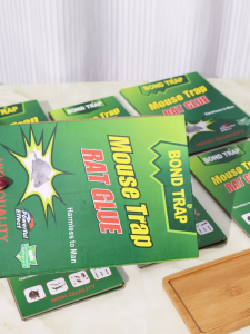 50ชิ้น กาวดักหนู Rodent Expert / กาวดักหนู / กาวดักหนูขนาดใหญ่ สติ๊กเกอร์ดักหนู 22x16 ซม.