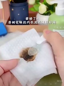 Female Underwear Detergent 500ml  内衣洗液落典优选内裤抑菌洗衣液去污渍清洗液