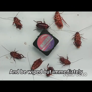 No cockroaches for 50 years Cockroach Bait 1 box 6pcs 1 poisoned and the whole litter died cockroaches killer Cockroaches favorite food ubat lipas dalam rumah Kill cockroaches and their eggs together cockroaches trap lipas killer 蟑螂药 蟑螂魔盒 蟑螂克星