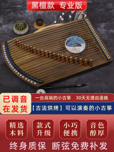 Guzheng Finger Trainer 21 String Ebony Solid Wood Musical Instrument Portable Beginner Professional Finger Playing Mini Guzheng