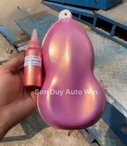 Camay hồng ngọc ánh vàng - Sơn ô tô xe máy Đóng chai 50g và 100g