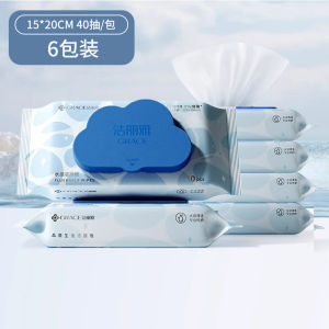 Grace Wet Toilet Paper Pure Water Toilet Cleansing Wipes Affordable Family Pack 40 Sheets*4 Packs Non-Woven Fabric Adult Use