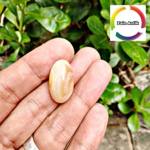 Batu akik mustika kantong semar