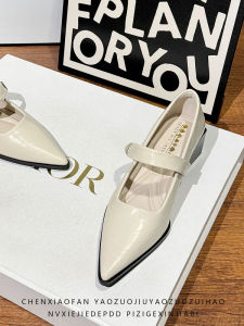 Comfortable Mary Jane Shoes for Women in Beige with Thick Heels Pointed Toe Slimming French Style Casual Fashion Single Shoes