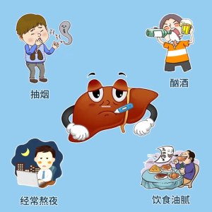 Chinese Chrysanthemum Cassia Seed Tea Liver nourishing tea Improve eye fatigue  菊花决明子茶 高品质保健茶 10 g X 30 养肝茶 菊花茶 夜护肝茶包 桂花 熬夜茶 恢复茶 养生茶 Teh Penjagaan Hati Teh Chrysanthemum Paket Teh Penjagaan Hati Teh Penjagaan Hati Teh Pemulihan Teh Kesihatan