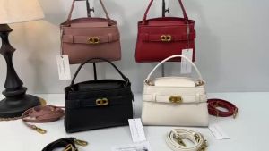 TÚI ĐEO CHÉO NỮ CK2-50271027 Size 19 x 13 x 8 cm Túi Chéo Nữ Nhiều Màu Sắc Túi Xách Nữ Thích Hợp Cho Nhiều Dịp - Lazada