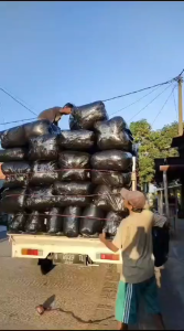 KASUR RASFUR KARAKTER 5 BANTAL UK 140X170 TERMURAH!!! AVIDAH