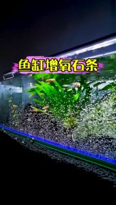 Aquarium Bubble Wall Tube | Fish Tank Bubble Bar for Oxygen Increase 7" 10" 14" 18" 23" 28" | 水族箱气泡壁管增氧棒 | Tiub Dinding