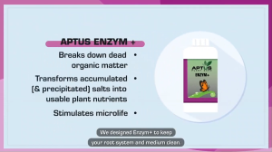 Aptus Enzym+50ml Super Concentrated Blends of Various Type of Powerful Enzyme Fertilizer Additive Increase Soil and Coco Usage Cycles Clean Roots Accelerate Organic Material Decomposition Enzymes for Healthy Soil Enzymes for Compost (1:4000)