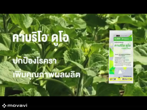 คาบริโอ ดูโอ ยกลัง (ขนาด 500 กรัม) ราน้ำค้าง ใบจุด ใบไหม้ 1 ซอง ใช้ได้ 10 ไร่