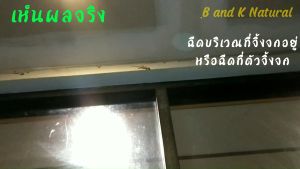 ไล่จิ้งจก 450มล Gecko-Free ตูเก๋ สเปรย์ไล่จิ้งจก สเปรย์ไล่ตูเก๋