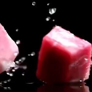 Sosis Kucing & Snack Kucing: Cemilan Kucing Sehat dan Berkualitas