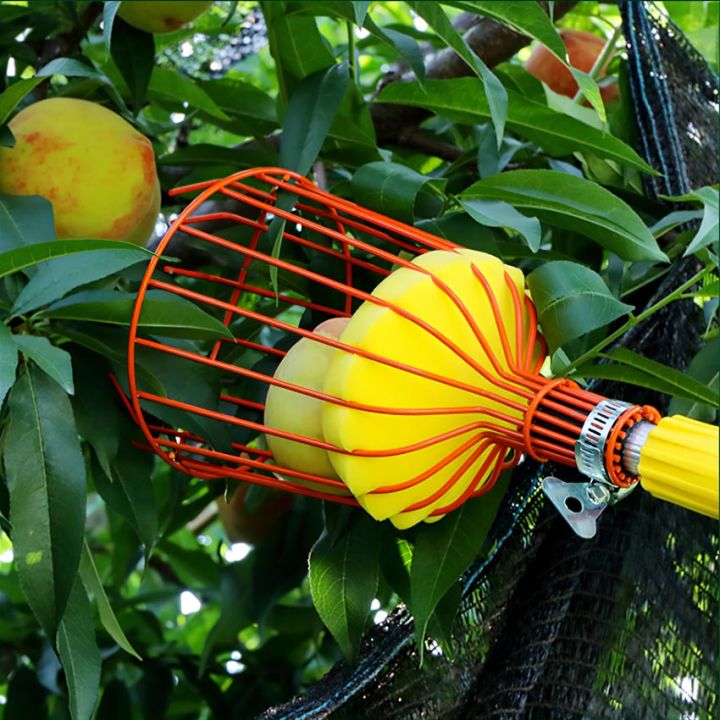 Pemetik Buah Baja Alat Pemetik Petik Buah Tinggi Tongkat Petik Pemetik Buah Tinggi  Serbaguna Tahan Lama Untuk Mangga /Persik /Apel/Oranye Dll