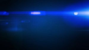 [CHARGING TOP SPINNER] Đồ Chơi Con Quay Random Gear Grizzlia