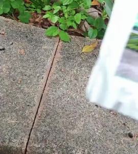 ซีลแลนท์ซ่อมกันน้ำรอยแตกคอนกรีต 500g สำหรับ รอยแตกร้าวบนพื้นและกลางแจ้ง กาวซ่อมแซมช่องว่าง อิฐและกระเบือง กาวยาแนวสำเร็จ ยาแนวชักโครก ยาแนวกระเบื้อง กาวยาแนวกันน้ำ ใช้งานง่าย