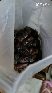 BUY 1 TAKE 1 Dried Pitted Dates Seedless 100 grams - Naturally Good Sweet Perfect Snack Dried Fruits