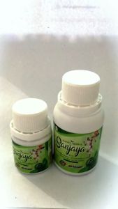 Kapsul Sanjaya Isi 56 Obat Asam Urat Pegal Linu Sakit Pinggang Otot Kaku Nyeri Sendi Stroke Ringan Rheumatik Syaraf Kejepit
