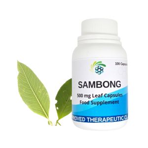Pure Sambong capsule 500 mg Anti UTI and Kidney Stones Pure and Natural 50 and 100 Capsules Best Seller