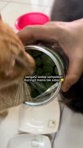 🌿หญ้าแมวฟรีซดราย 450 กรัมน้ำหนักสุทธิ ผสมอกไก่แ ช่วยสำรอกก้อนขน ไม่ต้องเสียเวลาปลูก ขนมแมว กินง่าย