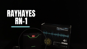 RAYHAYES Multifunctional Loudspeaker Rechargeable Lapel Microphone with Bluetooth for Teaching Gift Christmas Gift