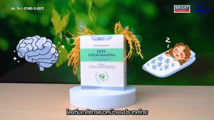 [ส่งฟรี] ENEL CHESS MemPlus (เอเนล เชส เมมพลัส) แอล-ธีอนี่ 2 บริการ สารสกัดจากพรมมิ | สารอาหารรวม 15 ชนิด 2 กล่อง 60 เม็ด