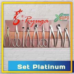 Alat Bonsai Stenlis Merk Ryuga SET PLATINUM Original