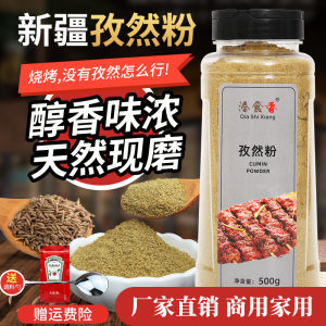 Authentic Xinjiang Cumin Powder Grilled BBQ Fried Food Milling Present Commercial Pure Cumin for Home And Restaurant Use