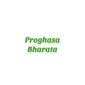 PROGHASA BHARATA Obat Penyembuh Luka Operasi Bernanah Luka operasi Berair Luka Diabetes Basah