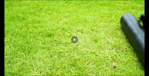 【Thickest】Black/Green 100/90GSM Weedmat Heavy Duty Weedmat Control Mat Weedmat Thickness /Ground Cover Grass