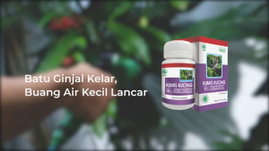Ekstrak Kumis Kucing 60c - Herbal Peluruh Batu Ginjal & kandung kemih