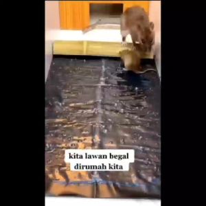 Magic Karpet Lem Tikus Besar Super Lengket Bagus Bukan Cap Gajah dan Cobra / Lem Perangkap Jebakan