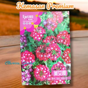(KEMASAN PREMIUM) BIJI/BENIH BUNGA ALYSSUM (isi -+300 butir)