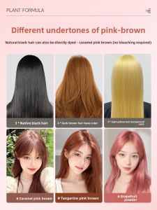 Plant-based Hair Dye for Women Caramel Rose Brown and Bean Sand Raspberry Red EISANSUN