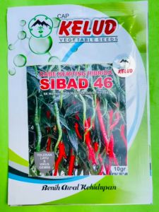 Benih Cabe Keriting SIBAD 46 isi 10gram dari Cap Kelud F