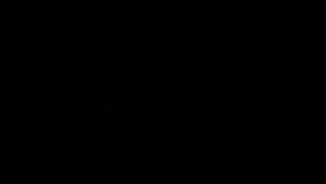 TELESIN Fast Charger Battery Charging Case Storage Box for GoPro HERO 12 11 10 9 BLACK