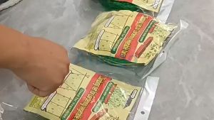 Green Plant Climbing garden net Durable Support Greenhouse Grow Fence Net Tools