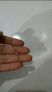 Sparepart travo R 220 3/4W mesin travo las alat alat teknik bengkel besi stainless per 3 pcs